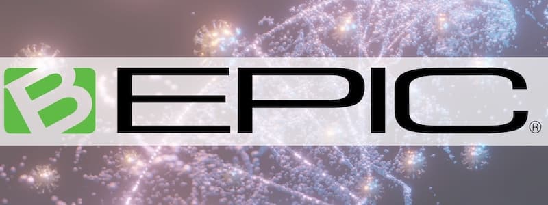 Bepic