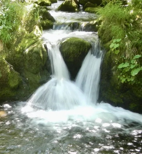 resynchronisation integrale