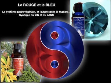 MoonStar Blue Anointing Solar Oil