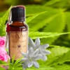 Huile Intimité GOLD CBD