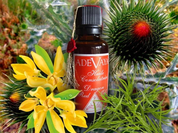 Huile Consolatrice Red Dragon Oil