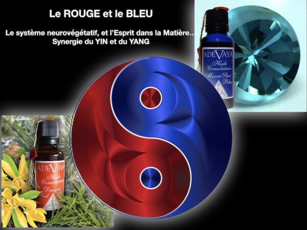Alternative view of Huile Consolatrice Red Dragon Oil