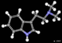 dmt