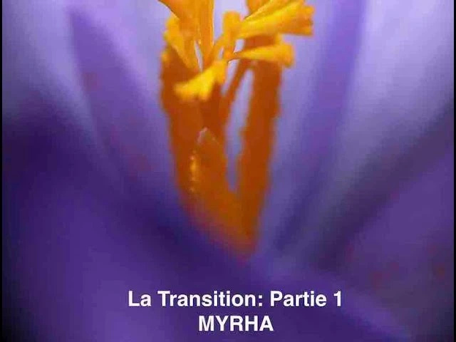La Transition: Utilité de la crise « covid » Partie 1