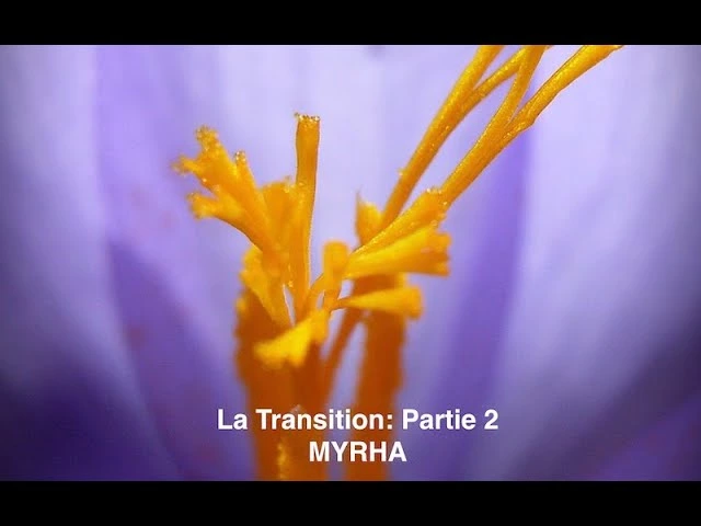 La Transition: Utilité de la crise « covid » Partie 2.