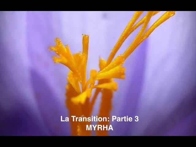 La Transition : Utilité de la « crise Covid ». Partie 3.